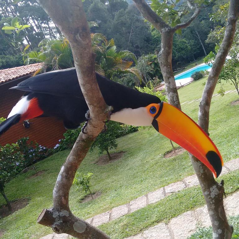 Pousada Tucano Do Cuiaba Itaipava Luaran gambar